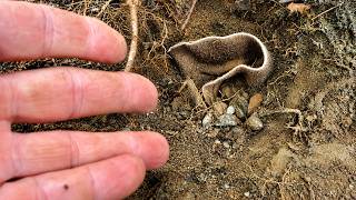 look really close because this is a strange find buried in the road