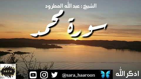 سورة محمد بصوت الشيخ عبد الله المطرود بجودة عالية (47)