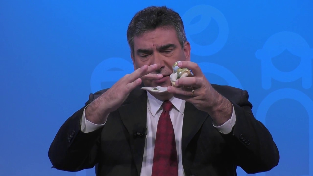 Components of the Prosthesis