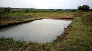 Bwawa la kufugia samaki