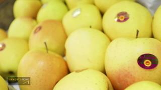 Ladam Primeur à Reims : nouvellement meilleur ouvrier de France screenshot 5