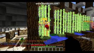 Skyblock Diamond Drop Party