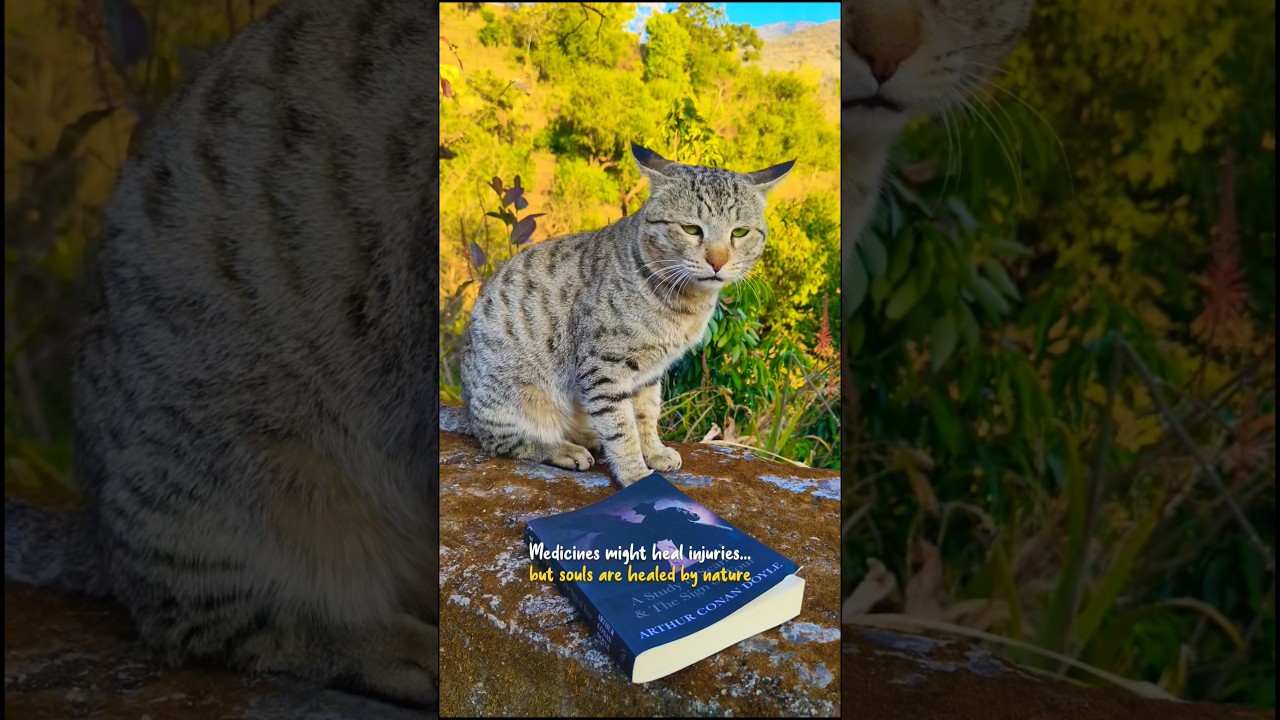 Travel Reel 115/180 Days Challenge 