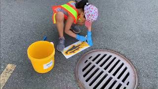 Surrey Storm Drain Challenge 2019