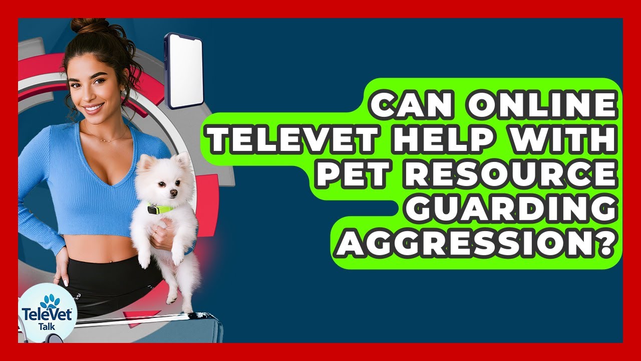 Can Online TeleVet Help With Pet Resource Guarding Aggression? - TeleVet Talk