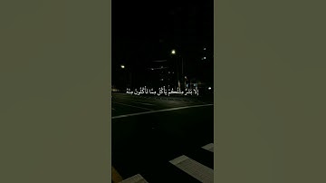 سورة المؤمنين بصوت #ياسر_الدوسري #تلاوة_خاشعة