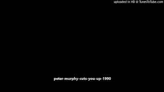 peter-murphy-cuts-you-up-1990