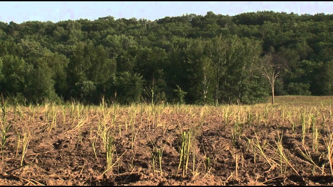 Report Shows Healthy Economic Growth Slowed This Month For Rural Areas Across Midwest-Lakeland News