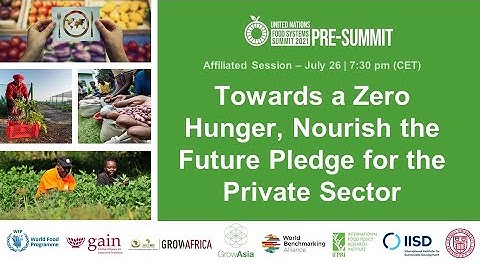 Towards a Zero Hunger, Nourish the Future Pledge for the Private Sector
