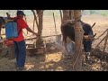 Bañando las vacas Para las garapatas