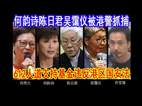 何韵诗被捕、主教陈日君被捕、吴霭仪被捕，612人道支持基金涉嫌违反港区国安法、勾结外国势力罪，许宝强在香港机场被捕。陈日君是大鱼。大国风云20220511
