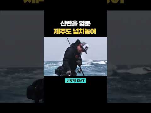 넙치농어 낚시는 산란철이 좋다 #손맛탱 #<strong>SMT</strong> #shorts