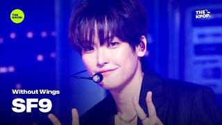 Without Wings – SF9 [THE SHOW] 260901 방송