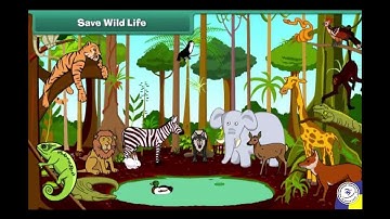 Class 2 | EVS | Ch-2 Animal Life | Visual Video | Prepared under Nipun Nayyar