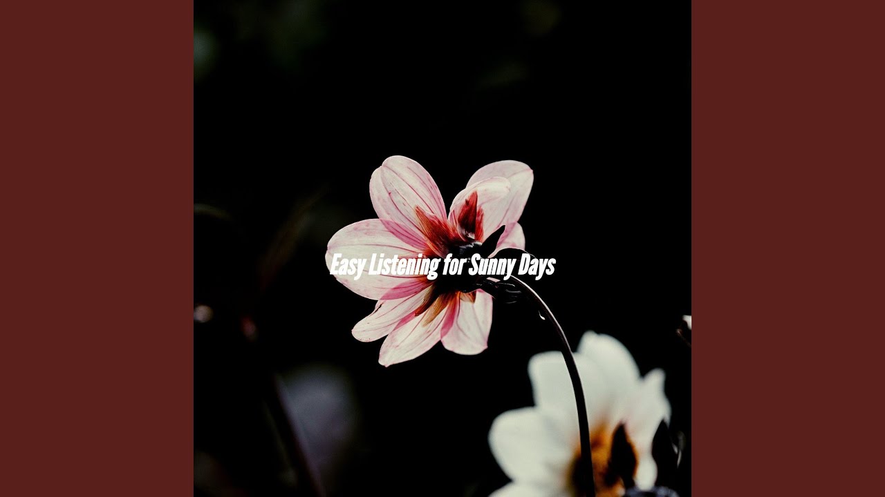 Mellow Music for Light Auras