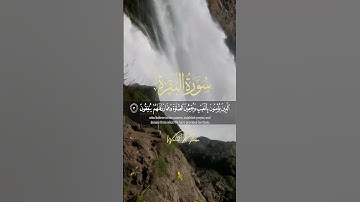 سورة البقرة آيات تلامس القلوب وتبعث السكينة | Surah Al-Baqarah Heart-Touching Verses Bringing Truq