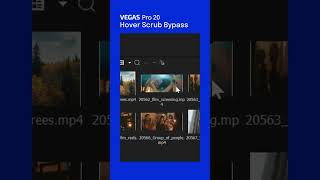 VEGAS Pro 20 Hover Scrub Bypass