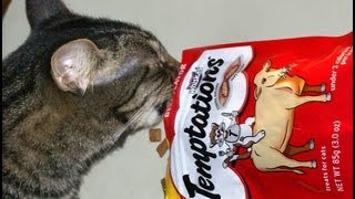 Don't Do That Chris - Temptations Beef Flavor Cat Snacks