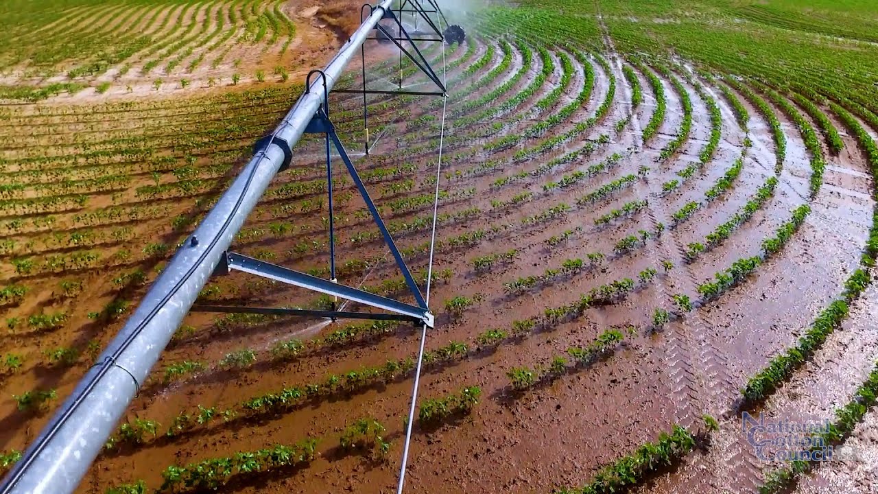 Camp Hand Offers Advice on Irrigation