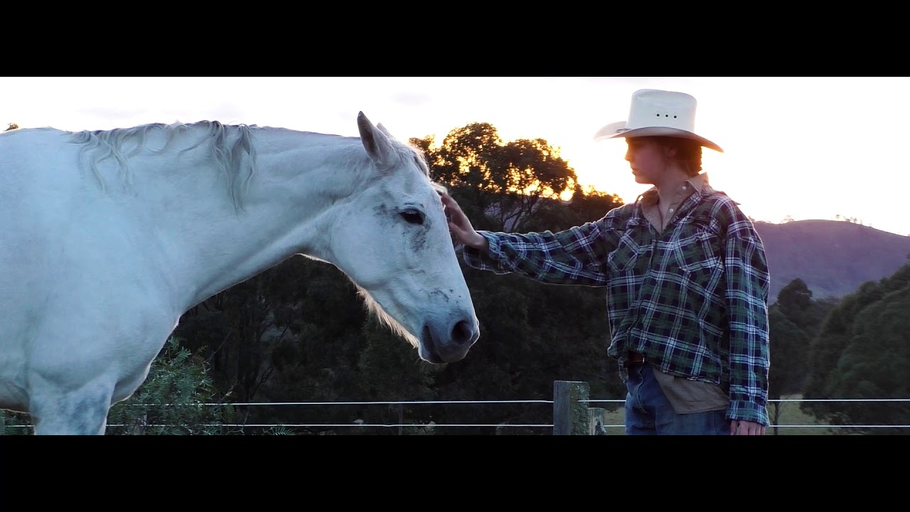 Stillness - A short film