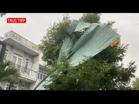 Video Trực tiếp: Đà Nẵng sau bão số 4, cây ngã, nhà tốc mái,... - youtube