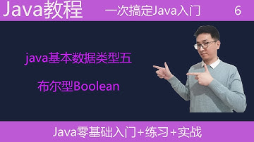 Java教学|Java基本数据类型五|布尔型Boolean|编程教学|编程基础课|编程语言