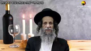 הרב עופר ארז - פרשת חיי שרה בזכות נשים צדקניות (חדש שליחת שאלות לרב עופר ארז בקישור למטה)