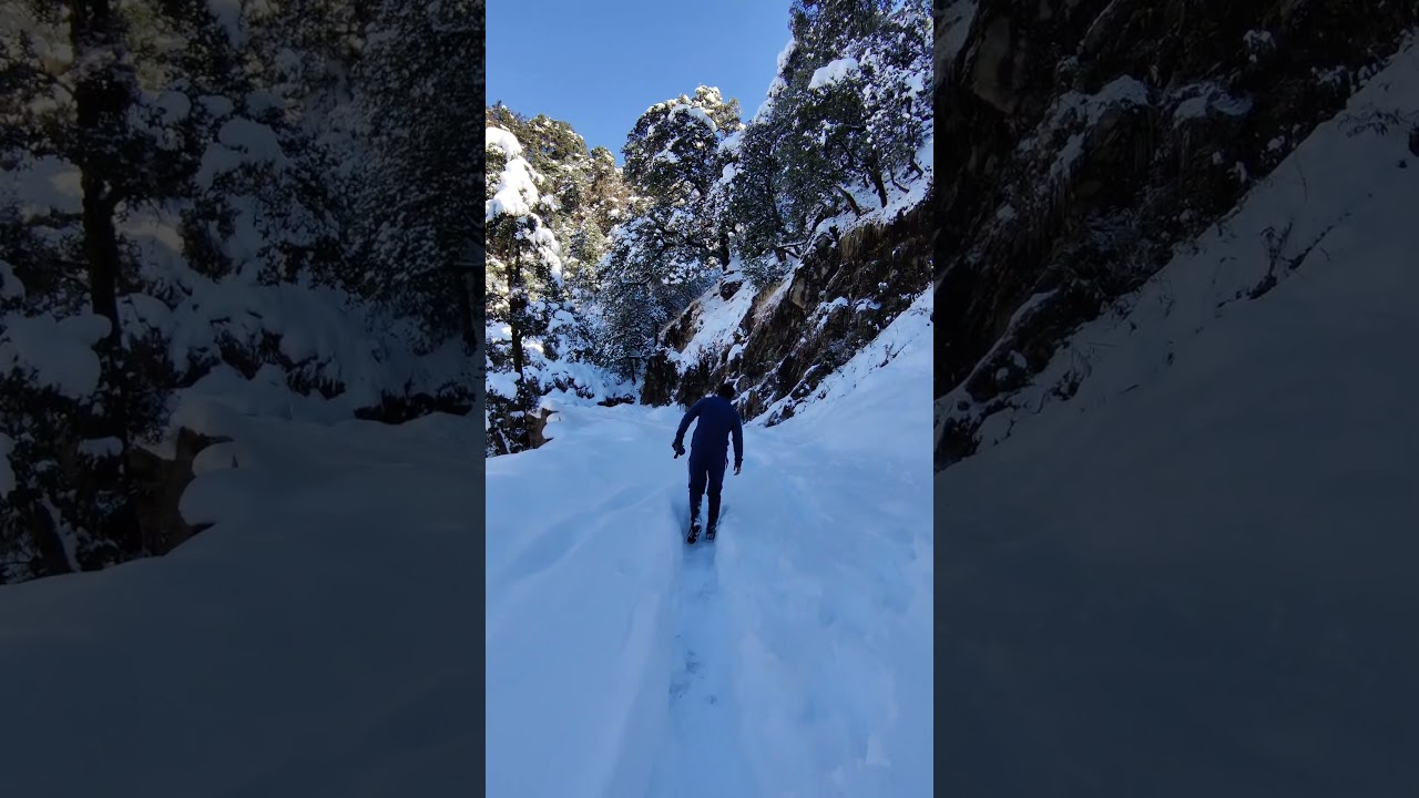 Bir billing| Snowfall