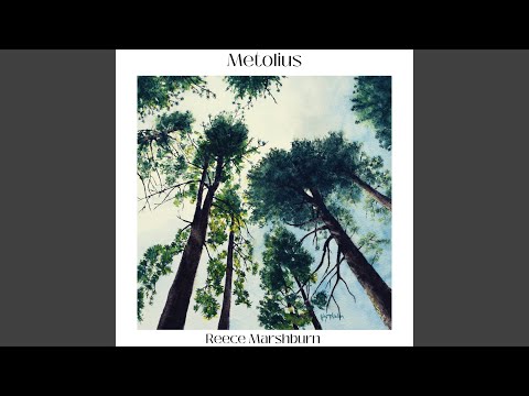Metolius