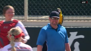 Parrot lands on umpire at college softball game screenshot 1