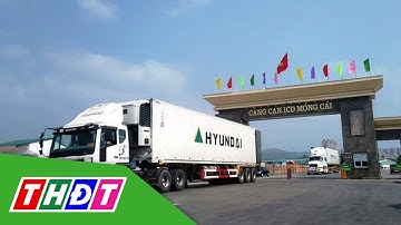 Dừng xét nghiệm Covid-19 tại các cửa khẩu ở Móng Cái - Quảng Ninh | THDT