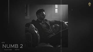Ace - NUMB 2 (Official Audio) | Kaler Habib | Jantta