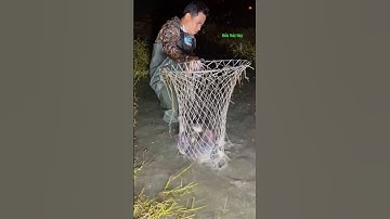 Cá Lớn - vợt bừa được Đàn Cá Rô Phi Khủng 😱 #khacthuyvlogg