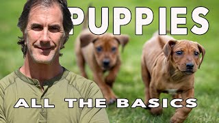 Puppy Training Basics, Crate Training, Socializing Puppies, Obedience and more