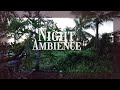 50 Minutes Cricket Sounds at Night 🌙 Relaxing Nature Ambience”