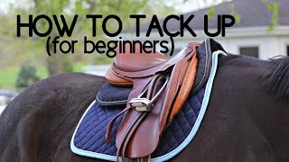 How To Tack Up Your Horse English