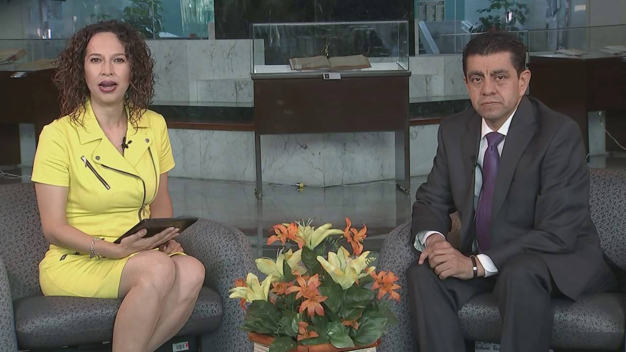 Amparo Directo y NSJP