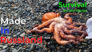 Survival On a Desert Island / Far East  of Russia / Butchering Live Octopuses. screenshot 5