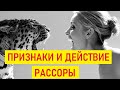 Признаки и действие рассоры, порчи на отношения