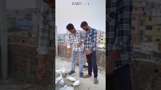 Kabutar Chori Karne Ka Tarika 😭 #reels #pigeon #kabootarba #kabutar #baj #chori #shorts #vlog #4k ￼