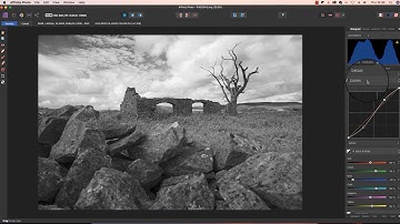 Affinity Photo Monochrome Conversions.