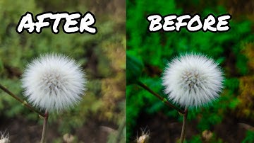 flowers photo editing Lightroom cc and snapseed editing new tutorial || official photography 43