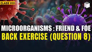 Question 8 | Back Exercise | Chapter 2 | Class 8 | PuStack