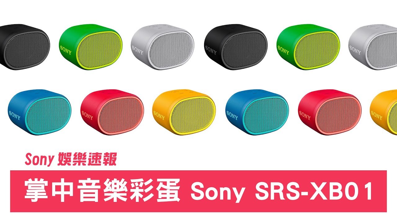 Sony Sony Srs Xb01