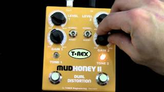 → T-REX EFFECTS ← Pedals for guitar and bass players!