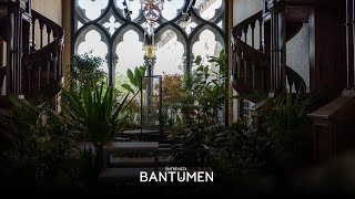 Download Lagu Vânia Gala e a arte desconstruída MP3