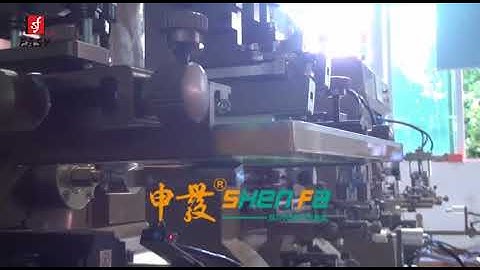 MULTI-FUNCTION SERVO SCREEN PRINTING MACHINE