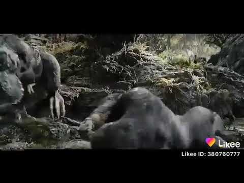 مبارك النمر