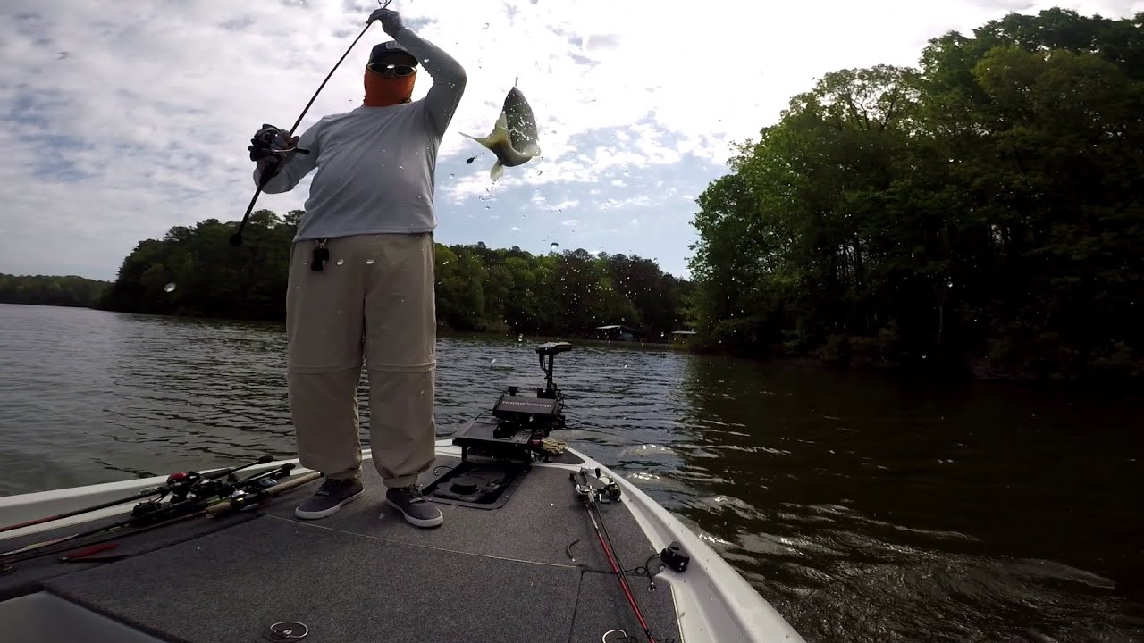 West Point Lake Georgia Spotted Bass Fishing 4-25-22 - YouTube