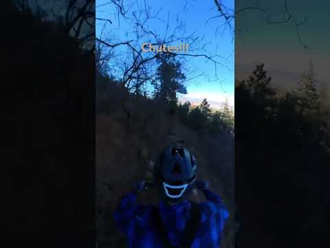Colorado Springs 360 | Chutes Trail #mtb #mtbshorts #colorado #findthatflow